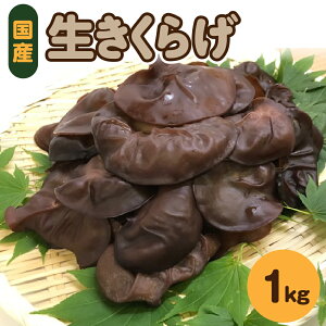 yӂ邳Ɣ[ŁzvwňĂ LNQ  1kg ( 500g ×2 ) Y y 炰 炰 ؎ LNQ {Y ̂ LmR  X ܏쌴s z