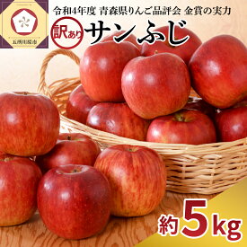 【ふるさと納税】 りんご 訳あり サンふじ 約 5kg ( 配送時期が選べる 12月～2月 ) / 青森産 りんご フルーツ 果物 不揃い 規格外 家庭用 林檎 アップル 果物 くだもの 青森 五所川原 リンゴ さんふじ サンフジ 青森りんご 12月 1月 2月 14,000 赤いりんご