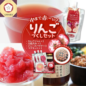 【ふるさと納税】 中まで赤～いりんご づくし セット 【 りんごジャム 100g×1、万能タレ200ml×1、りんごジュース （パウチ）130ml×3、こぎん刺し マグネット ×1【 青森 五所川原 りんご 詰合せ 御所川原 リンゴ 贈答 プレゼント 飲料 加工品 五所川原市 】
