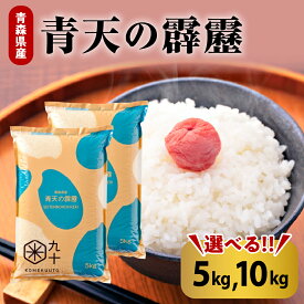 【ふるさと納税】 ★高評価 4.76★ 米 令和6年産 青天の霹靂 ( 5kg 10kg 内容量が選べる ) 精米 特A / 青森 国産 ブランド米 贈答 ギフト 贈り物 秋 冬 旬 常温保存 ごはん ご飯 東北 ふるさと 白米 お米 こめ 青森県 五所川原市 晴天の霹靂 送料無料