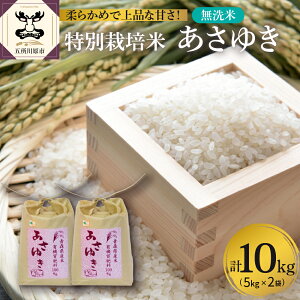 yӂ邳Ɣ[Łzs\ V ߘa7NY 䂫 ʍ͔| 10kg ( 5kg × 2)y2025N11菇z/     uh  ߘa7N st  Mtg 蕨 퉷ۑ 