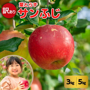yӂ邳Ɣ[Łzy 󂠂 z tƂ炸 Tӂ ( eʂIׂ 3kg / 5kg ) ( zIׂ 11 12 ) / XY   Tӂ S W[X َq  