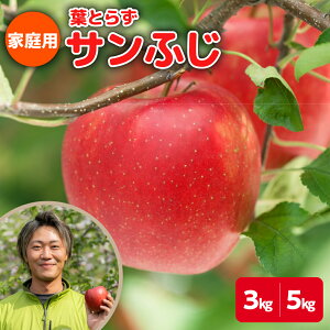yӂ邳Ɣ[Łzy ƒp z tƂ炸 Tӂ ( eʂIׂ 3kg / 5kg ) ( zIׂ 11 12 ) / XY   Tӂ S W[X َq  