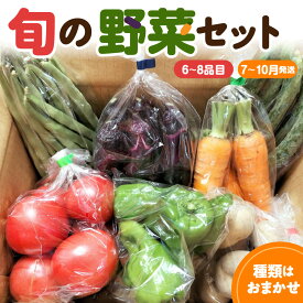 【ふるさと納税】 旬の野菜セット 【選べる配送月 | 7月 8月 9月 10月 発送】 野菜セット 詰め合わせ 詰合せ セット 国産 旬 おまかせ お楽しみ 野菜 直送 詰合 送料無料 青森県 五所川原市