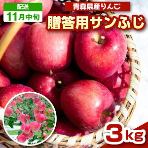 yӂ邳Ɣ[Łz  X TtW 3kg x y p z _ƒ ( zIׂF 11 12 ) / Tӂ  v[g 蕨 ь S ʕ t[c apple  X 