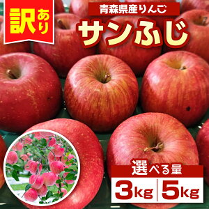 yӂ邳Ɣ[Łz  X TtW 󂠂 (eʂIׂ  3kg / 5kg ) _ƒ yzIׂF 11 12 zTӂ ӂ邳Ɣ[  LY PA t[c ь S apple 