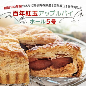 yӂ邳Ɣ[ŁzX\acsY@SNgʃAbvpC@z[5yzsnFzy1101370z