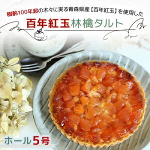 yӂ邳Ɣ[ŁzX\acsY@SNgʗь^g@z[5yzsnFzy1101371z