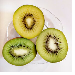 yӂ邳Ɣ[ŁzX\acsY@LECt[c3ZbgyzsnFzy1574960z