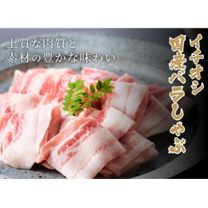 yӂ邳Ɣ[ŁzWR@؃oԂԁ@1800g(180g×10pbN)yzsnFzy1625149z