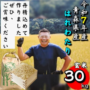 【ふるさと納税】【令和7年産】青森県産はれわたり玄米30kg【配送不可地域:離島・沖縄県】【1678880】