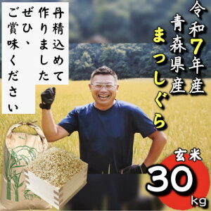 yӂ邳Ɣ[Łzyߘa7NYzXY܂猺30kgyzsnFEꌧzy1678881z