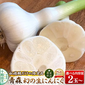 【ふるさと納税】先行受付【テレビ紹介】青森 幻の生にんにく（農家直送・収穫期だけの限定品）【選べる内容量：2玉〜20玉、1kg】 青森にんにくファーム [稀少 ニンニク 今が旬 直送]