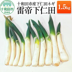 【ふるさと納税】【トロトロ食感】青森県十和田市産 下仁田ネギ（雷帝下仁田） 1.5kg [ねぎ 葱 下仁田ねぎ 国産 野菜]