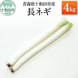 【ふるさと納税】青森県十和田市産 長ネギ 4kg（約20本） まっすぐねぎ 焼き・鍋の主役に [ねぎ 葱 国産 野菜]
