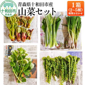 【ふるさと納税】【先行受付】青森県十和田市産 山菜セット（2〜5種類 種類おまかせ）1箱 [今が旬 詰め合わせ タラの芽 うど わらび ふき クレソン こごみ]