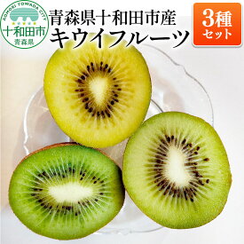 【ふるさと納税】【先行受付】青森県十和田市産 キウイフルーツ3種セット 約1.5kg（各種約500g） 食べ比べ [キウイ グリーンキウイ アップルキウイ ゴールドキウイ フルーツ]