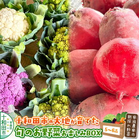 【ふるさと納税】十和田の大地が育てた旬のお野菜お楽しみBOX 家族農家の朝採れ野菜 [青森産 新鮮 野菜 詰合せ 今が旬]