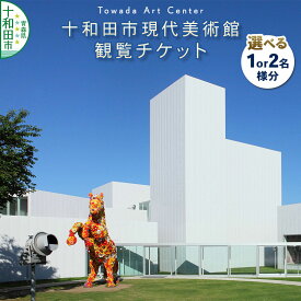 【ふるさと納税】十和田市現代美術館観覧チケット【選べる：1名様分／2名様分】青森県十和田市 ＜レターパックプラス＞ [アート 芸術 鑑賞]