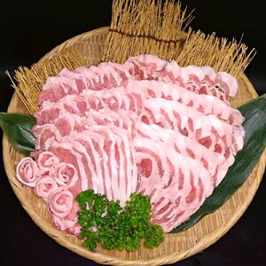 yӂ邳Ɣ[ŁzuXOYvIR|[NEԂԃZbg(1.4kg)yzsnFzy1101889z