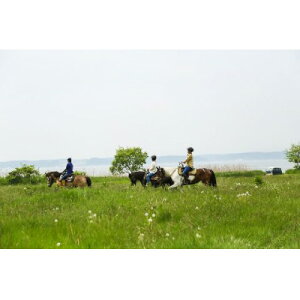 yӂ邳Ɣ[ŁzXOs@ngbLO(쌴΃gC)1l120y1681399z