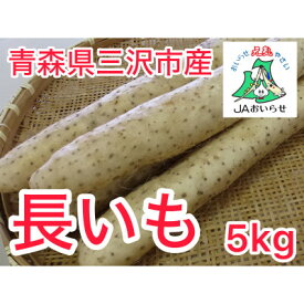 【ふるさと納税】【JAおいらせ】青森県三沢市産　長いも　5kg【配送不可地域：離島】【1699997】