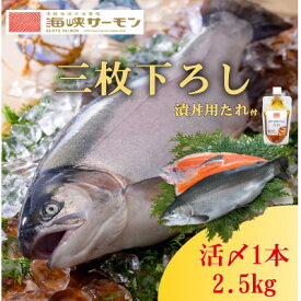 【ふるさと納税】【2024年6月上旬発送】海峡サーモン船上活〆2.5kg1本(冷蔵)【配送不可地域：離島】【1153616】