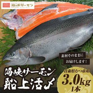 yӂ邳Ɣ[ŁzyԌ蔭zCT[D㊈Y3.0kg1{ (①)@ނs T[ hgyzsnFzT[   TP CN