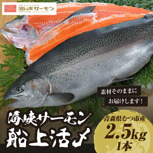 yӂ邳Ɣ[ŁzyԌ蔭zCT[D㊈Y2.5kg1{(①)@ނs T[ hgyzsnFz