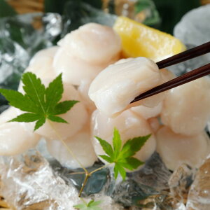 yӂ邳Ɣ[ŁzpYقĊL@ʗ500g@hgp@TCYs@󂠂yzsnFz