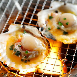 yӂ邳Ɣ[ŁzpYⓀقĕЊL@10yzsnFz