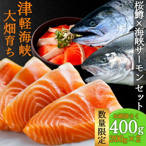 �y�ӂ邳�Ɣ[�Łz�y���Ԍ��蔭���z�Ìy�C���@�唨�Y�C���T�[�����ƍ����@���h�g�����H�ה�׃Z�b�g �T�[���� �� ���� �T�P �C�N�@�T�N���}�X