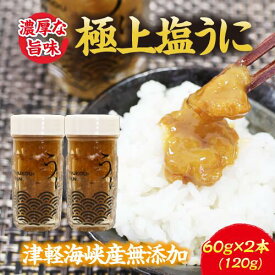 【ふるさと納税】濃厚な旨味 津軽海峡産 無添加　極上塩ウニ 120g 海鮮 新鮮 うに ウニ 魚介 海の幸 海産物 ふるさと納税 ウニ むつ市
