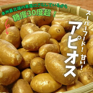 yӂ邳Ɣ[ŁzX[p[t[h x30x܁`AsIX() 1kgyzsnFz