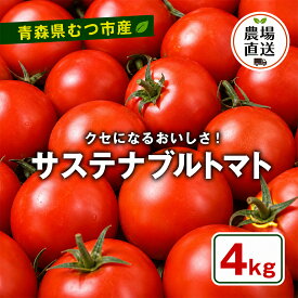 【ふるさと納税】むつ市産　寅福菜園のサステナブルトマト　4kg　トマト 野菜 ふるさと納税 トマト リコピン