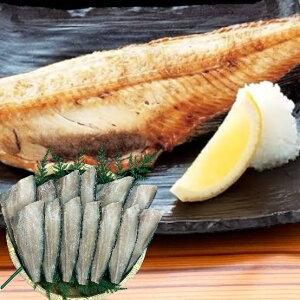 yӂ邳Ɣ[Łzk@悭΂艖ȃzbPZ^[Jbg@1.5kg CN VN ق zbP ȃzbP  C̍K CY ӂ邳Ɣ[ zbP ނs