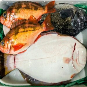 yӂ邳Ɣ[Łzy1Jnzȃ}CX^[I ~̋BOX(S) XނsY @y͂擌knz CN VN  N C̍K CY ނs