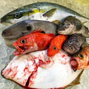 yӂ邳Ɣ[Łzy2Jnz ȃ}CX^[I ~̋BOX(M)@XނsYy͂擌knz CN VN  N C̍K CY ނs