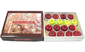 yӂ邳Ɣ[Łz[p] x14xȏ   ZNV 1 (14ʂ16)yʌzbXY  Ìy S ь ʕ t[c TtW ZNg I 2025N 