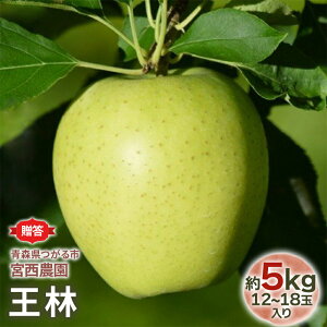 yӂ邳Ɣ[Łz[] сy5kg 1218ʓzFȍ̐񂲁bߘa7N 2025N Mtg XY Ìy   S ʕ t[c  [0684]