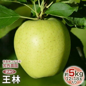 yӂ邳Ɣ[Łz[󂠂] сy5kg 1218ʓzFȍ̐񂲁b ߘa7N 2025N A 󂠂 ƒp XY Ìy   S ʕ t[c  [0689]