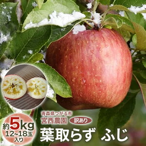 yӂ邳Ɣ[Łz[󂠂] t炸 ӂy5kg 1218ʓzbߘa7N 2025N A 󂠂 ƒp XY Ìy   S ʕ t[c tW [0690]