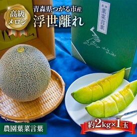 【ふるさと納税】高級 メロン『浮世離れ』1玉【2024年7月下旬～8月中まで順次発送】一度は食べてみたい！市場に出回らない｜青森産 津軽 つがる めろん 先行予約 [0617]