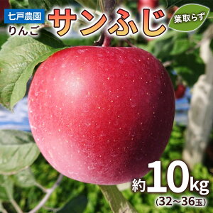 yӂ邳Ɣ[Łz Tӂ t炸 10kg(3236) XY sy2025N11{菇zbXY Ìy S  tƂ炸 X ʕ t[c 2025NY ߘa