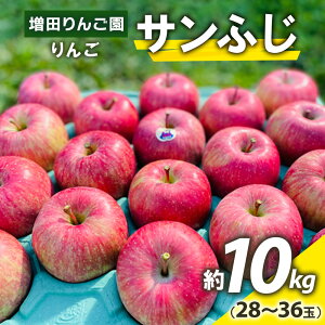 yӂ邳Ɣ[Łz Tӂ 10kg (28ʂ36) XY sy2025N11{菇zbXY Ìy  S ʕ t[c X ӂ ӂ TtW ߘa7N 2025