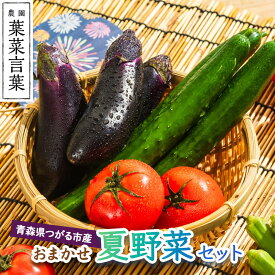 【ふるさと納税】葉菜言葉のおまかせ夏野菜セット 約1kg 令和7年産｜旬の野菜 夏 野菜セット 冷蔵 詰め合わせ 産直 農家直送 新鮮 ギフト サラダ 2025年産 [0636]