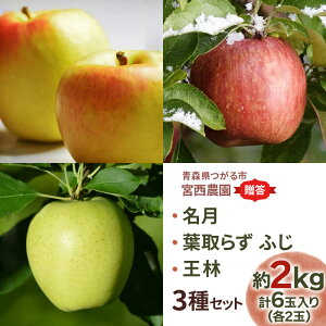 yӂ邳Ɣ[Łz[p] ×t炸ӂ×сy2kg e2ʓ v6ʁzґ 3Zbgbߘa7N 2025N Mtg XY Ìy   S ʕ t[c ߂ tW 