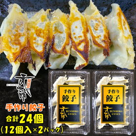 【ふるさと納税】『ラーメン屋さんの餃子をご家庭で』中華そば文四郎 手作り餃子 2パックセット｜餃子 ぎょうざ ギョウザ 手作り 特製餃子 取り寄せグルメ [0738]