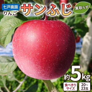 �y�ӂ邳�Ɣ[�Łz��� �T���ӂ� �t��炸 �H�ׂ���T�C�Y ��5kg (20�ʂ���23��)�b�X�Y ���� �X��� �����S �ь� �t���[�c �ʕ� �ߘa7�N 2025�N [0927]