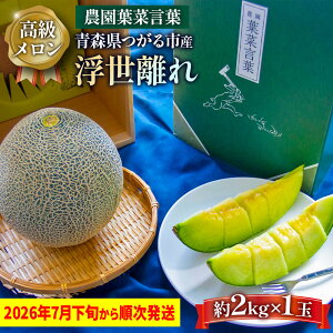 �y�ӂ邳�Ɣ[�Łz���� �������w��������x1�ʁy2026�N7�����{����8����{�܂ŏ��������z��x�͐H�ׂĂ݂����I�s��ɏo���Ȃ��b�X�� �X�Y �Ìy ���� �߂�� ������ �ʕ� �t���[�c ��